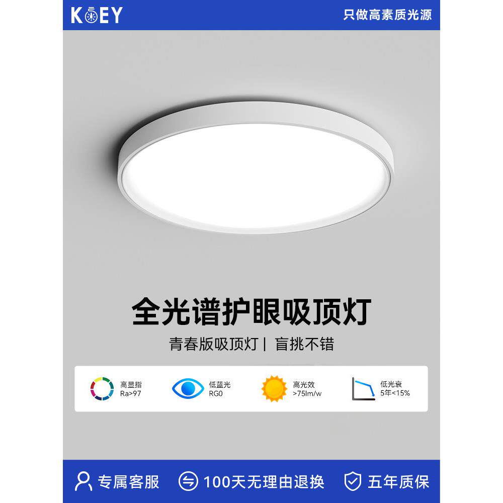 科伊青年版吸顶灯现代休闲智能卧室灯家庭高性价比灯