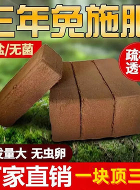 棷砖耶砖土壤脱盐无菌椰糠椰砖土大块椰子砖营养土种菜养花通用型