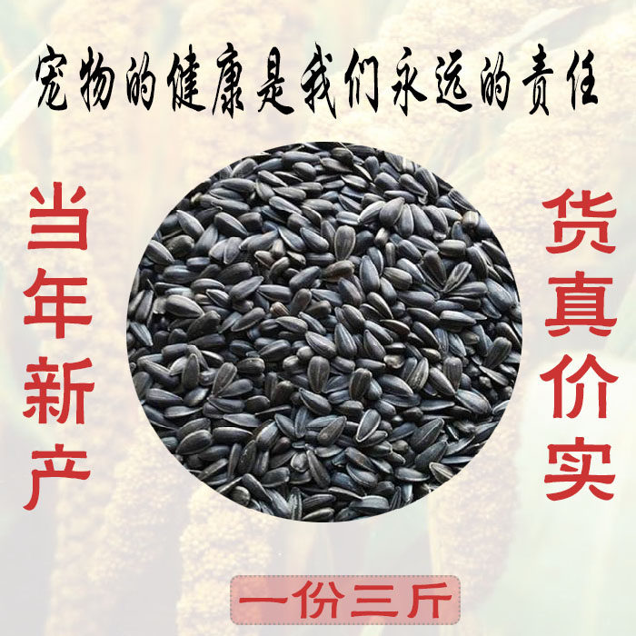 当年油葵花籽向日葵籽牡丹鹦鹉鸟食仓鼠零食鸽粮玄风小黑瓜子饲料