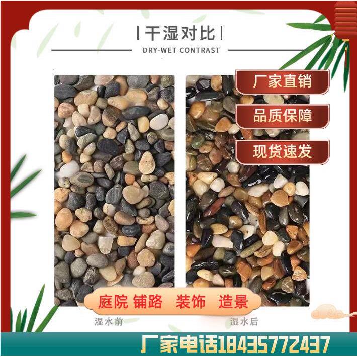 天津天然鹅卵石沼泽过滤石头地暖找平回填专用豆石水洗滤料水处理