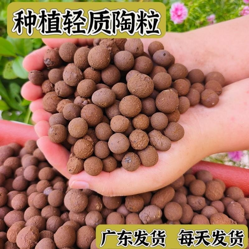 广东陶粒垫底养花专用花盆铺面卫生间回填陶粒水培盆栽天台阳台种