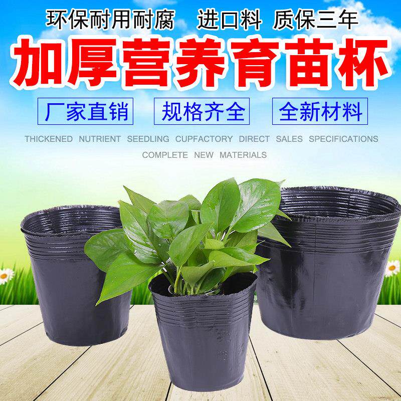 营养钵穴盘植树袋营养杯育苗袋营养盆育苗盘育苗盆育苗杯种植盆
