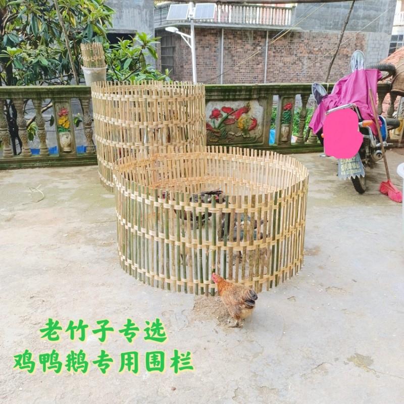 竹围栏养鸡小鸡罩笼手工编织鸡笼鸡老竹子栏栅花园小鸭子鸡圈网