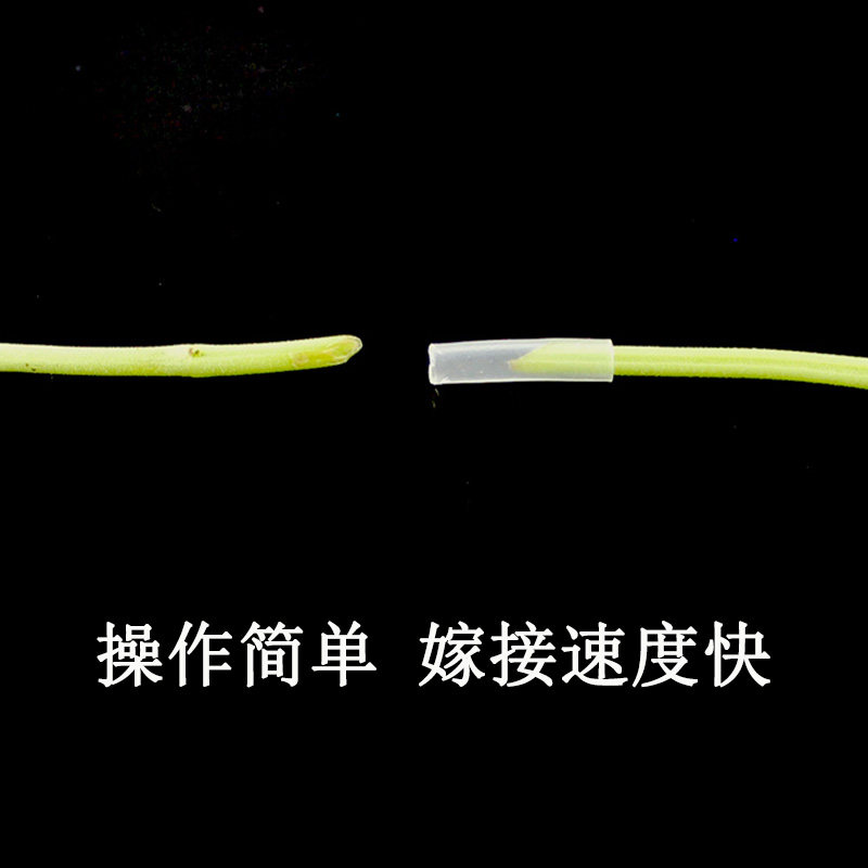 蔬菜育苗嫁接套管 黄瓜番茄西瓜茄子通用透明塑料管 嫁接管嫁接夹,鲜花速递/花卉仿真/绿植园艺,其它园艺用品,淘宝优惠券,粉丝福利购,淘宝优惠卷