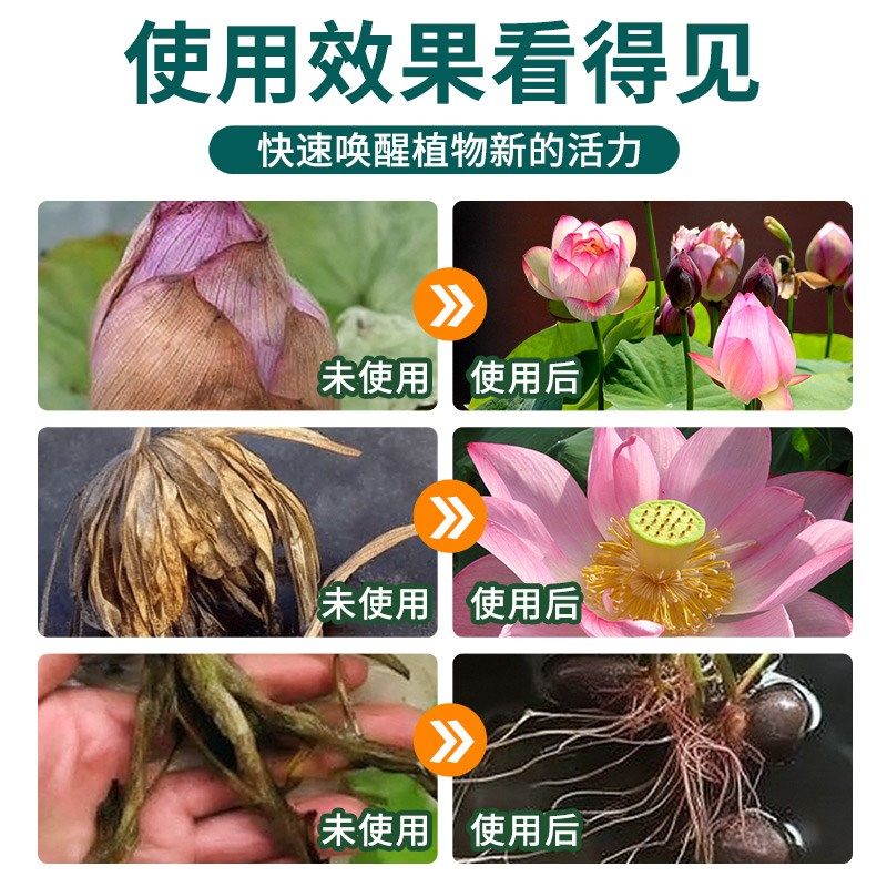免稀释碗莲专用营养液肥料家用水生植物种植液体肥池塘植物通用型,鲜花速递/花卉仿真/绿植园艺,家庭园艺肥料,淘宝优惠券,粉丝福利购,淘宝优惠卷