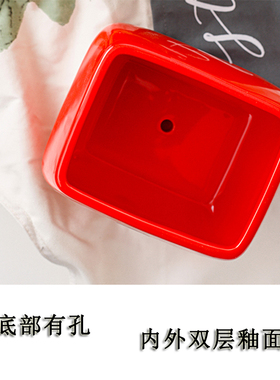 创意长方形花盆陶瓷北欧简约客厅阳台绿萝蝴蝶兰花盆红黄色带托盘