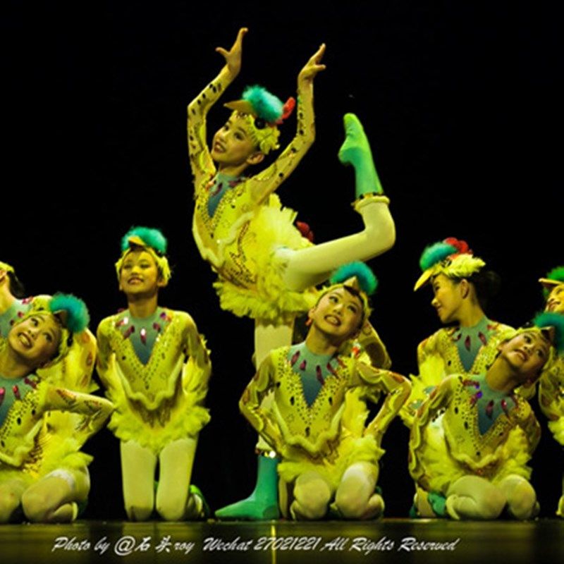 小荷风采小鸟归家家少儿舞蹈表演服装幼儿小鸡演出服黄鹂鸟服纱裙,童装/婴儿装/亲子装,儿童演出服,淘宝优惠券,粉丝福利购,淘宝优惠卷