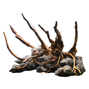 吉景佳水族超白鱼缸造景青龙石造景天然水草缸造景沉木造景杜鹃根