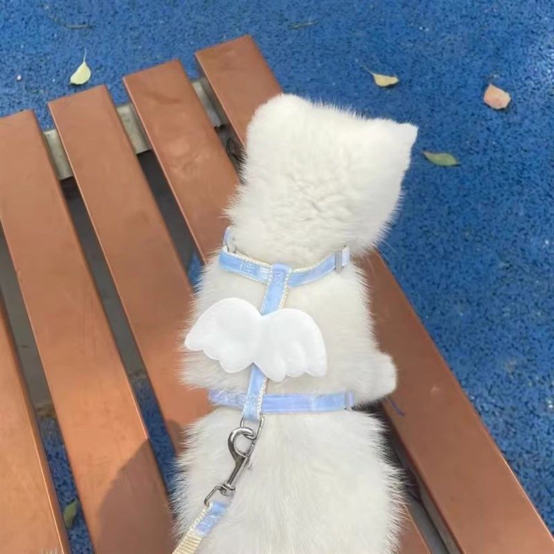 猫咪牵引绳遛猫绳防挣脱外出专用小翅膀工字型狗链子防走丢防跑绳,宠物/宠物食品及用品,猫牵引绳,淘宝优惠券,粉丝福利购,淘宝优惠卷