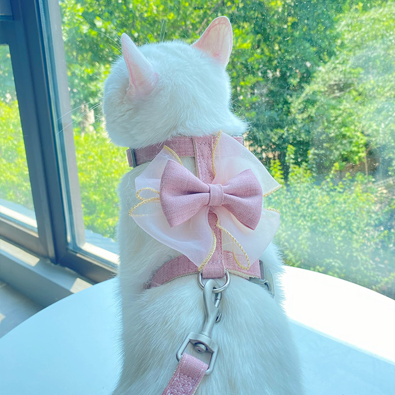 拴猫绳防挣脱猫绳外出便携溜猫绳猫咪专用宠物遛猫绳子兔兔牵引绳,宠物/宠物食品及用品,猫牵引绳,淘宝优惠券,粉丝福利购,淘宝优惠卷