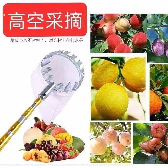 多功能不锈钢摘果神器高空采摘摘枣四季采摘伸缩杆摘果网兜摘果器,户外/登山/野营/旅行用品,抄网杆,淘宝优惠券,粉丝福利购,淘宝优惠卷