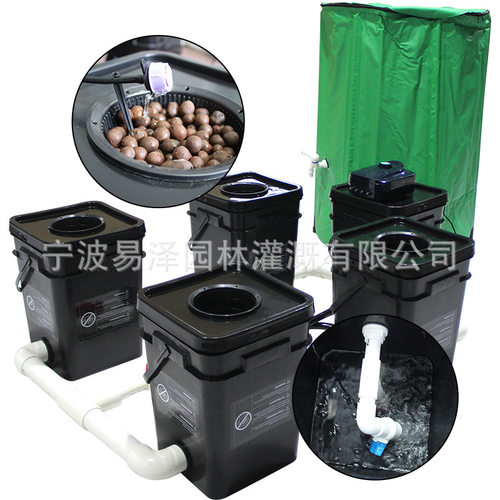 RDWC+dripper  4个种植桶系统带100L储液桶 深液水循环 带滴灌 水