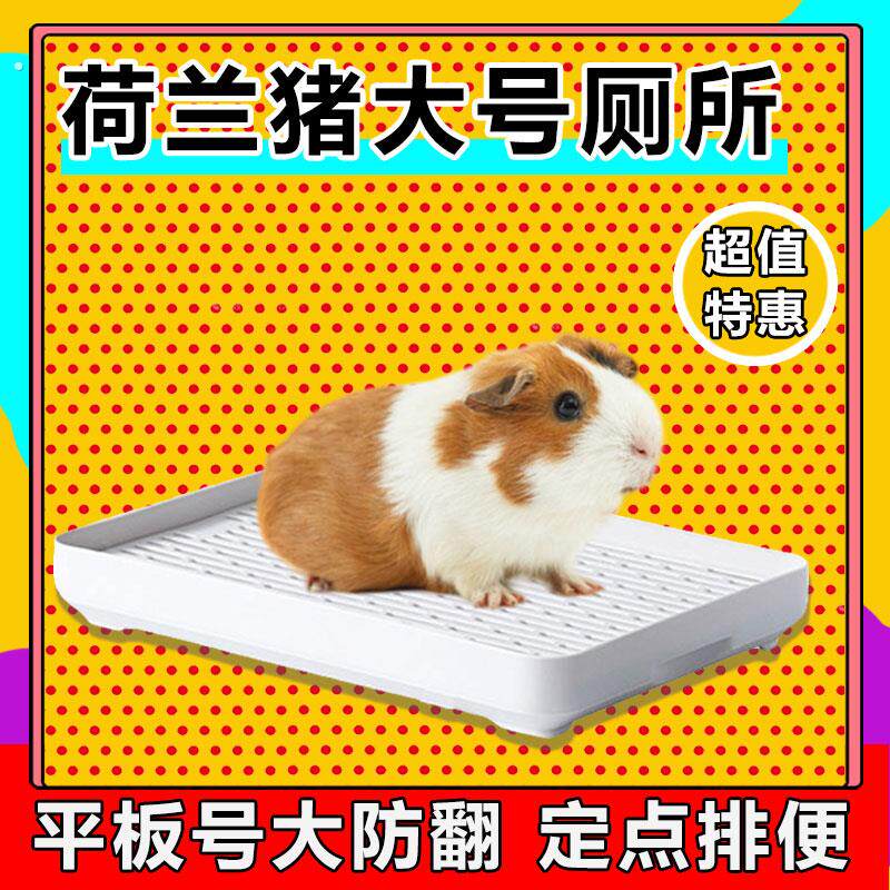 荷兰猪专用宠物兔子厕所大号豚鼠屎盆天竺鼠尿盆兔兔便盆用品大尺