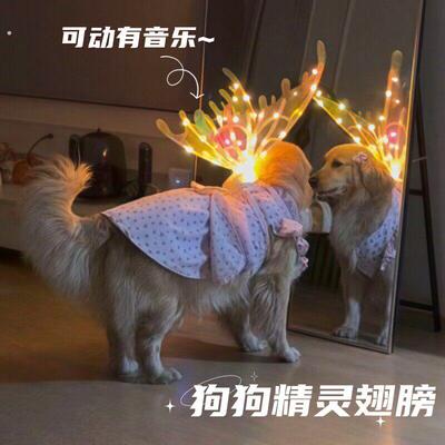 狗狗发光电动蝴蝶翅膀背饰可煽动带音物猫咪衣服拍照天使背带