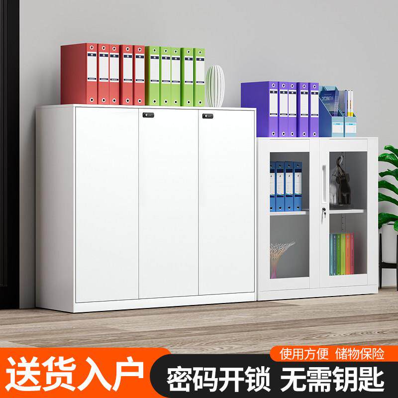 办公室铁皮文件柜资料凭证柜带密码锁玻璃拉门书柜收纳柜白色矮柜