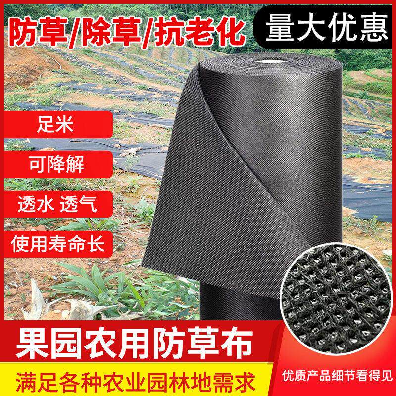 防草布除草布耐用农用地布果园果树新型保湿生态盖草遮草防草地膜
