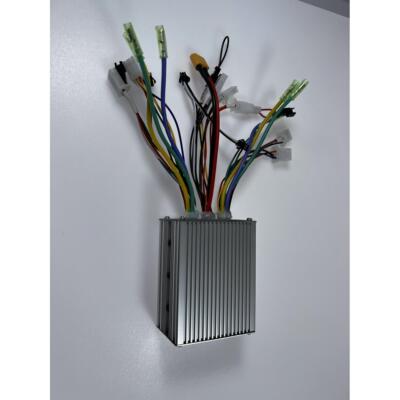 卡丁车无刷电机双驱控制器24V36V48V60V250W350W