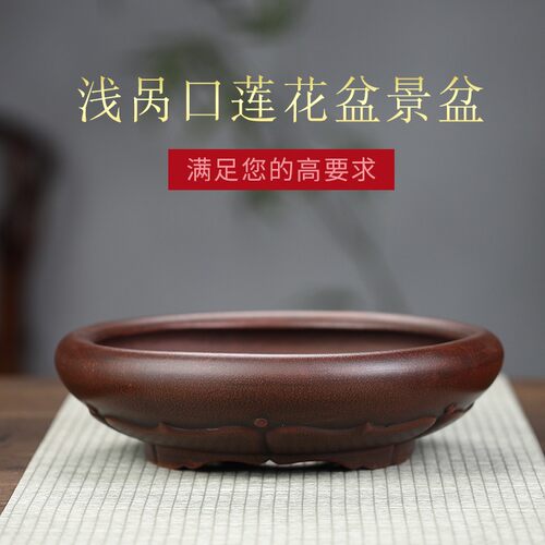 宜兴精品紫砂盆景盆多肉老桩文竹云竹圆形浅吸水石盆景盆2021新款