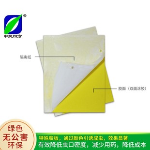 黄板粘虫板诱虫板双面蓝板杀粉虱蓟马飞虫小黑飞果蝇绿植农业诱杀