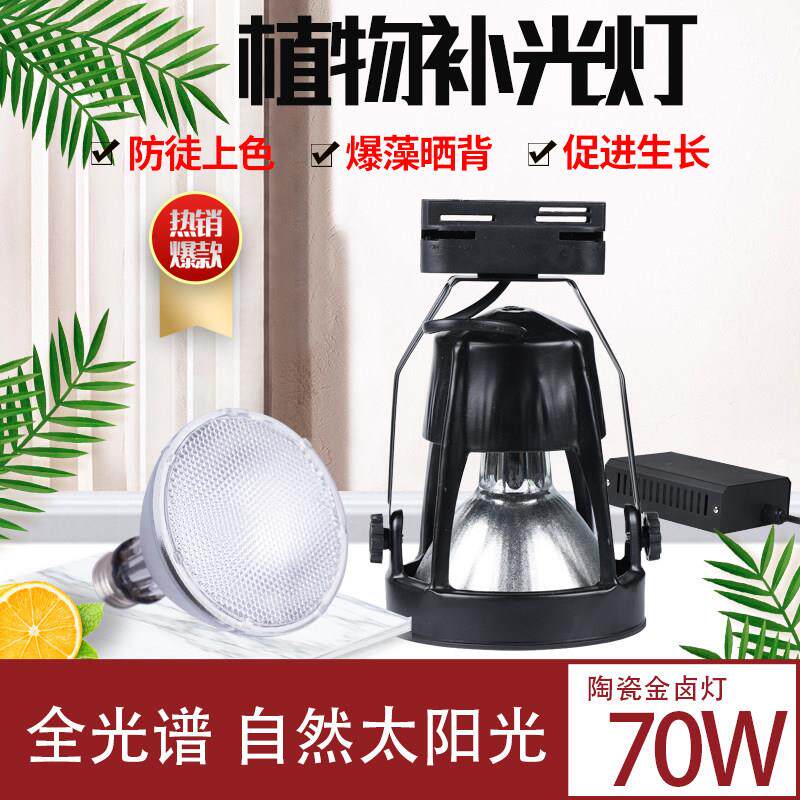 陶瓷金卤灯全光谱植物补光灯爬虫水族彷太阳光月季多肉阳台植物灯