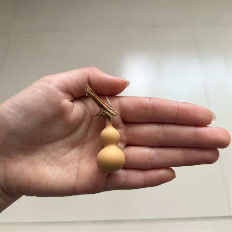 草里金小葫芦一物一图文玩手捻小葫芦天然葫芦手把件特小