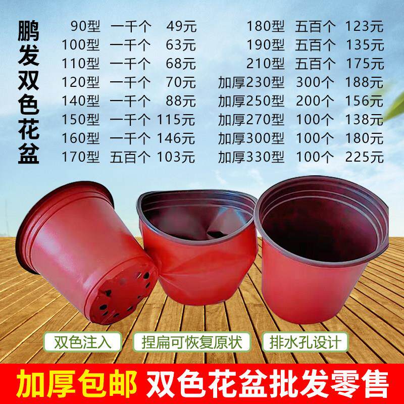 育苗杯营养钵加厚大号双色盆一次性塑料花盆多肉种植扦插培育苗盆