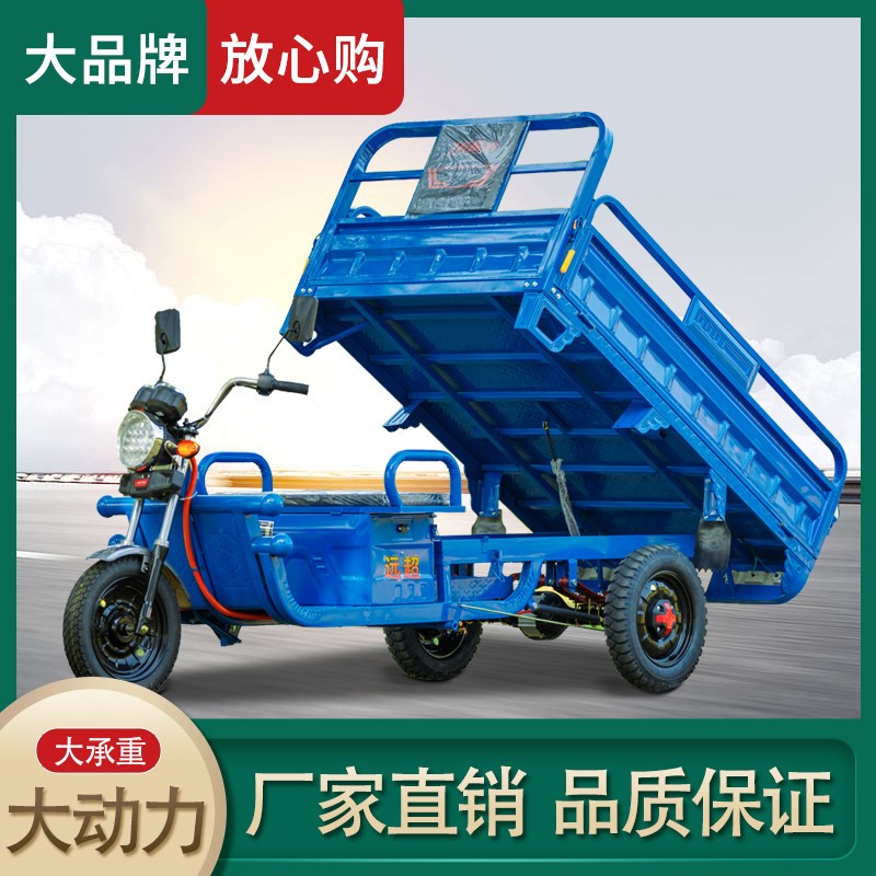 电动三轮车载重王拉货三轮电动电瓶车家用大型农用三轮车摆摊快递