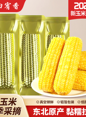 东北甜玉米黄糯玉米新鲜粘玉米真空装低脂饱腹玉米棒整支大棒辅食
