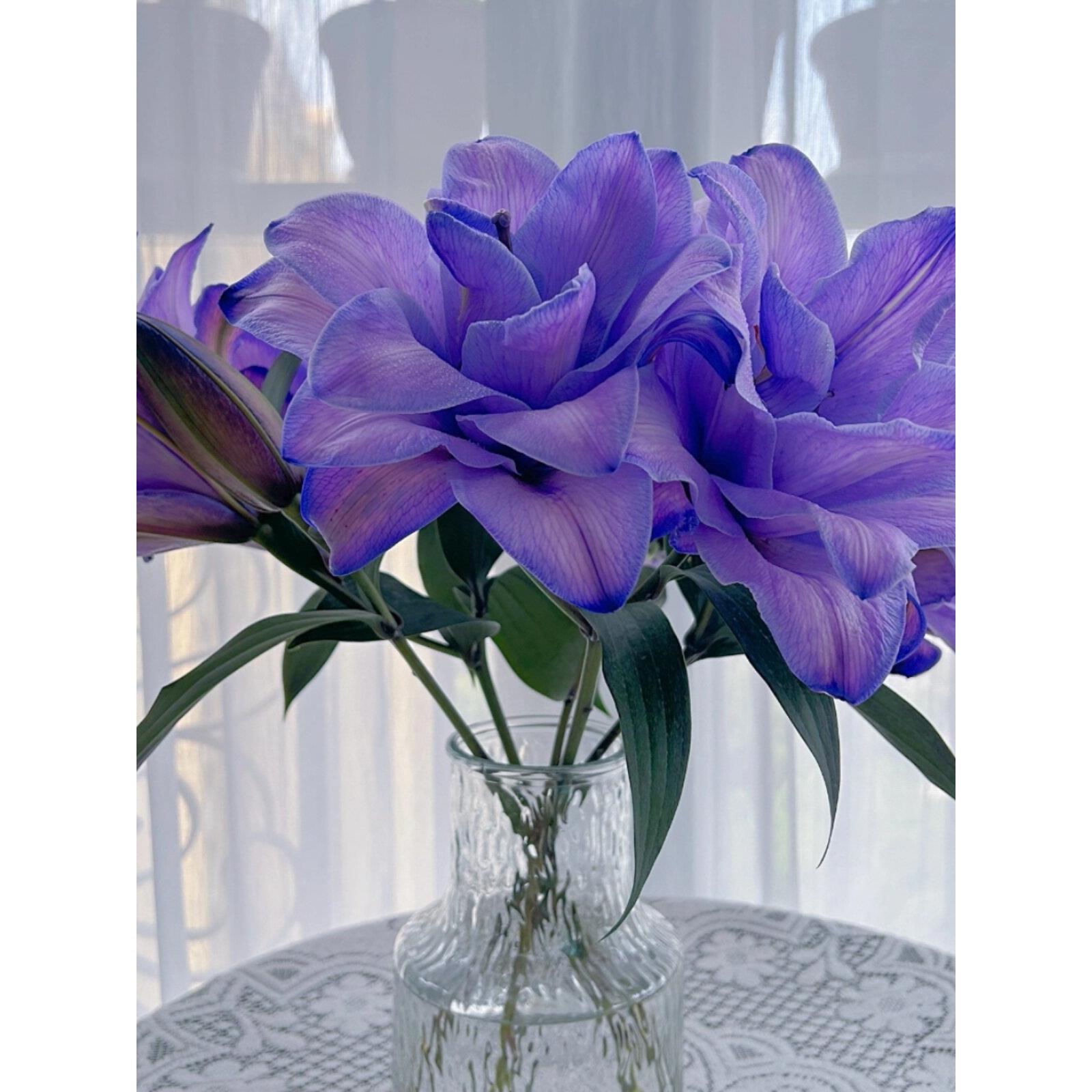 紫霞仙子紫色重瓣香水百合同城云南鲜花基地直发花顺丰直发鲜切花