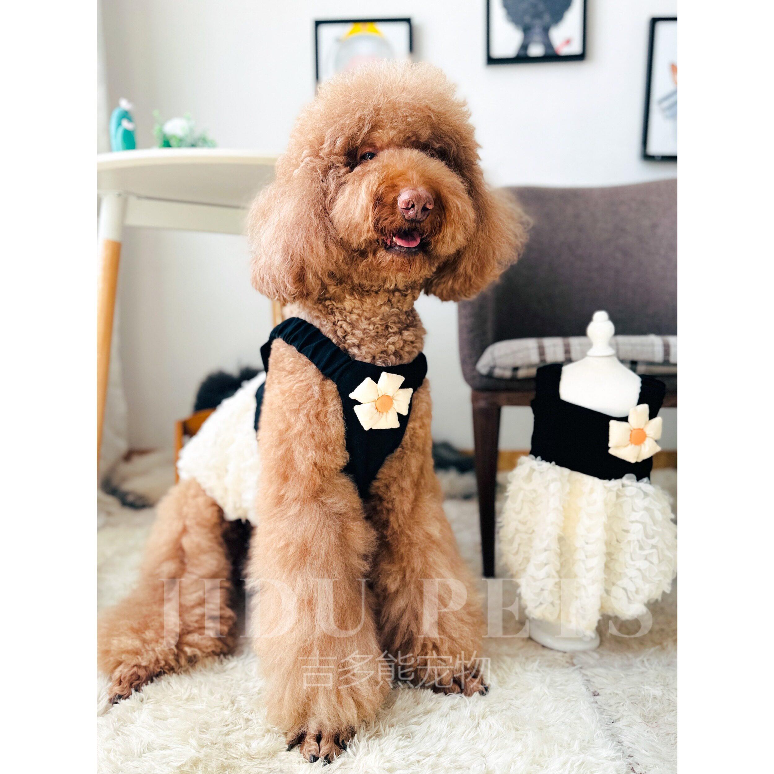 宠物衣服夏天南瓜裙可爱公主连身裙蓬蓬吊带裙子礼服巨贵金毛萨摩