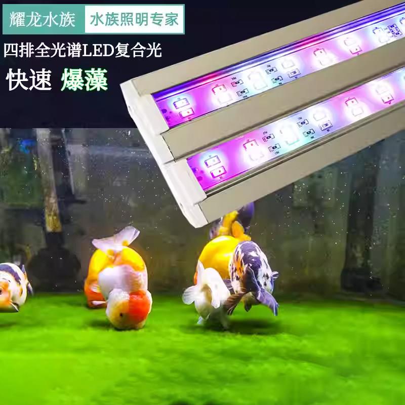 全光谱爆藻支架灯水草草缸灯兰寿金鱼灯出苔植物灯led防水鱼缸灯