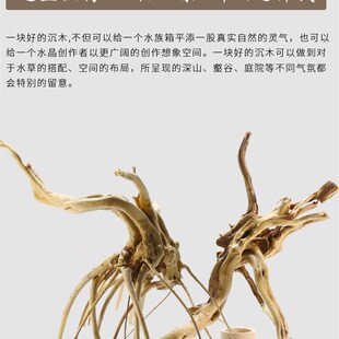 沉木造景木鱼缸装饰天然树根杜鹃根鱼缸水族箱造景小沉木枝条栖根