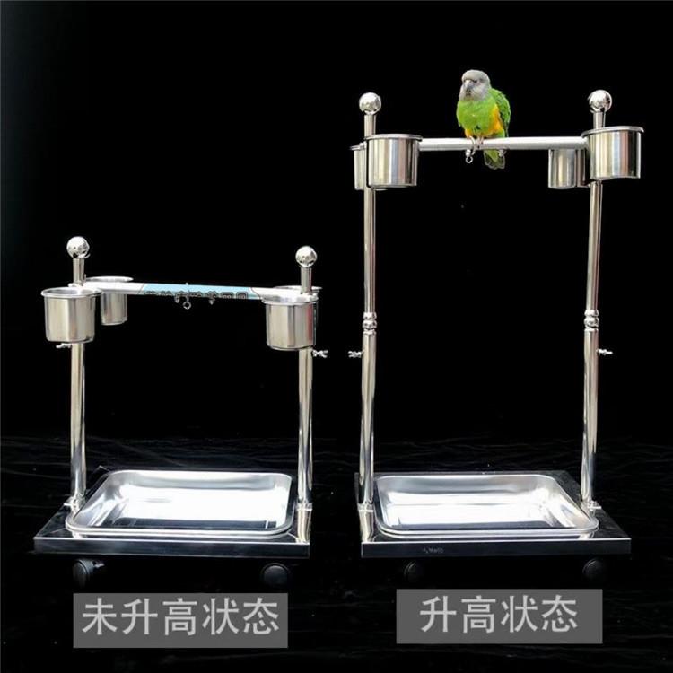 不锈钢鹦鹉升降站架中小型适用和丶尚,小太丶阳,吸丶蜜,玄凤等