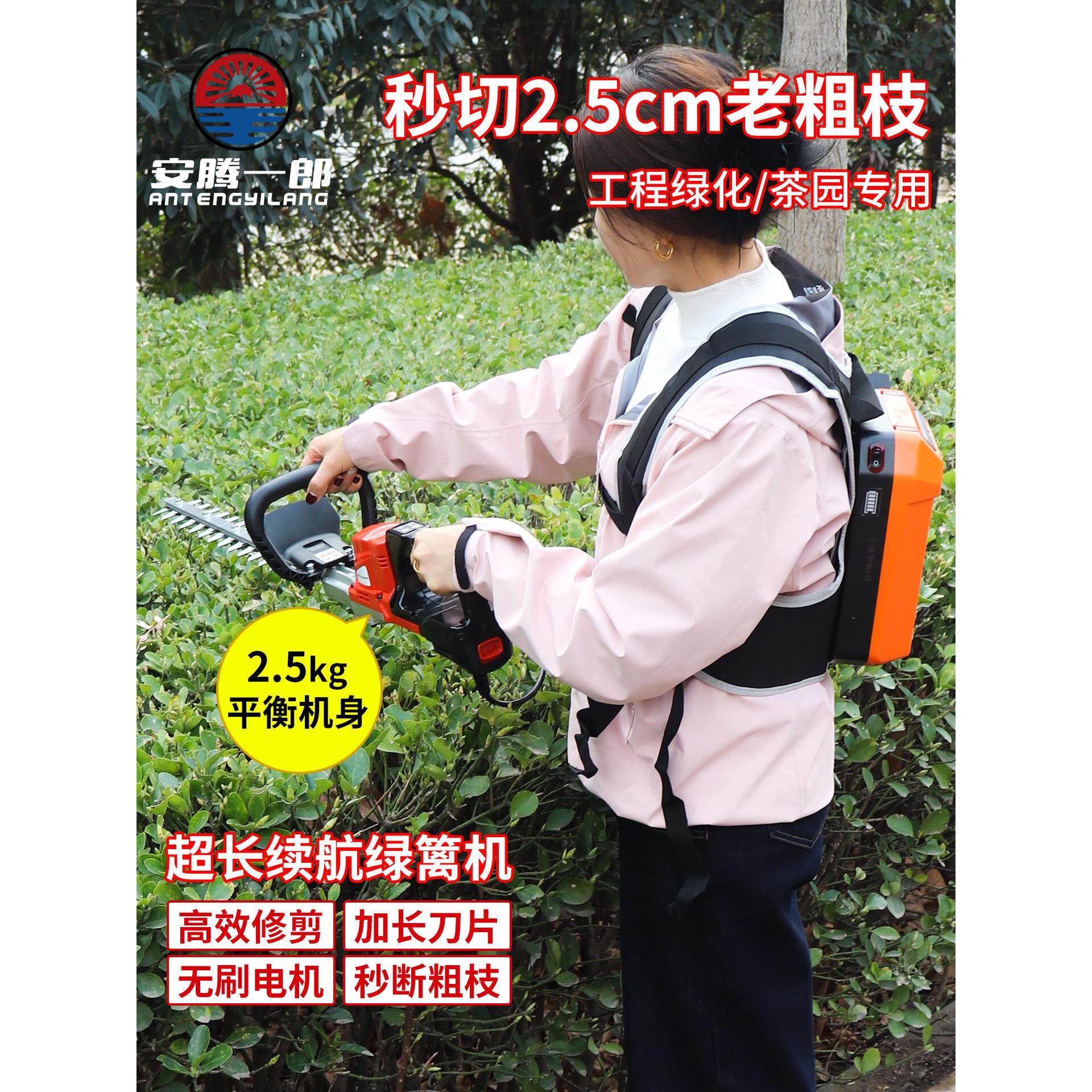 大功率无刷电动绿篱机锂电池专业园林绿化双刃重修剪枝茶园采茶机