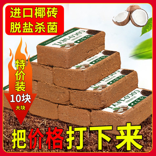 脱盐大椰砖营养土种菜养花粗椰壳椰糠无菌椰土砖乌龟爬宠垫材多肉