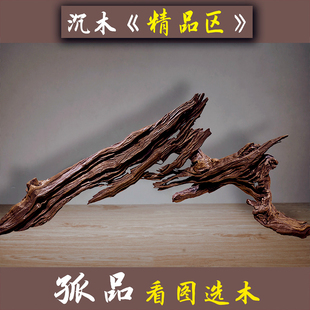 上品 精品南美缸沉木造景 拱桥型天然紫柚木非流木大型树桩根免煮