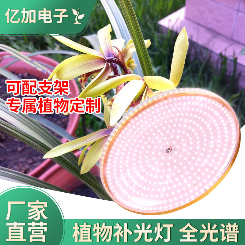新款上市兰花兰草室内80W补光灯全光谱led灯温室大棚绿植生长灯