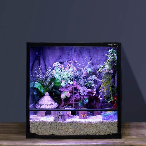 寄居蟹玻璃缸爬宠缸造景全视角封闭式大号小号迷你reptizoo饲养箱