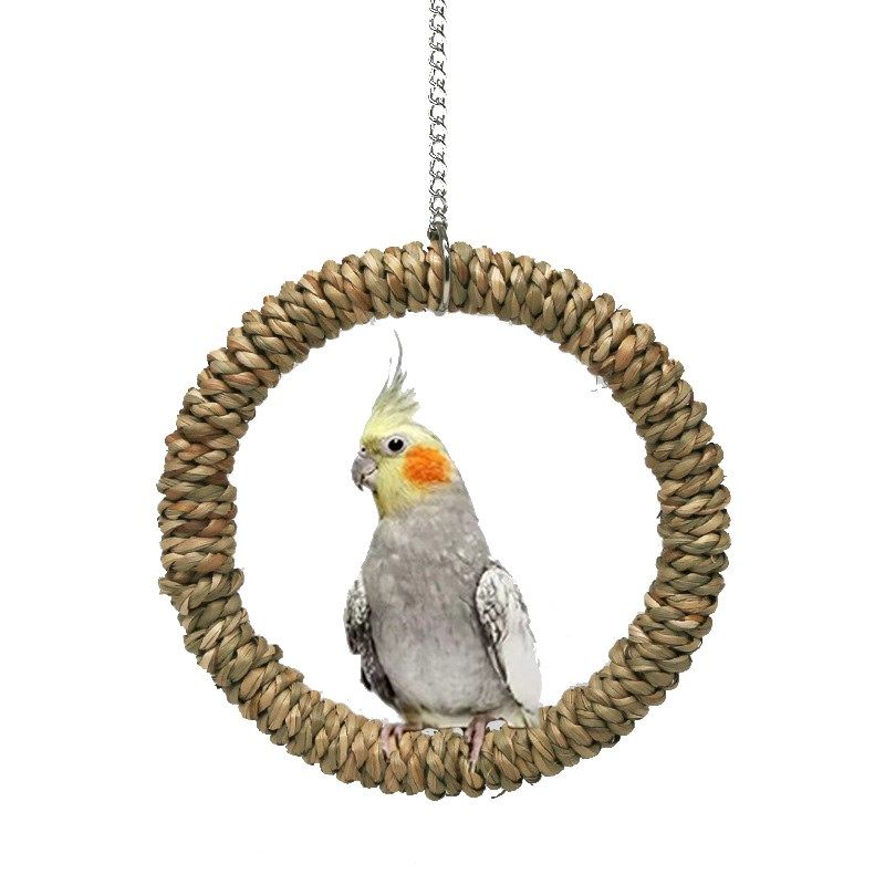 鹦鹉秋千玩具吊环鸟笼站架吊床磨爪啃咬草编虎皮玄凤鸟用品大全,宠物/宠物食品及用品,鸟秋千,淘宝优惠券,粉丝福利购,淘宝优惠卷