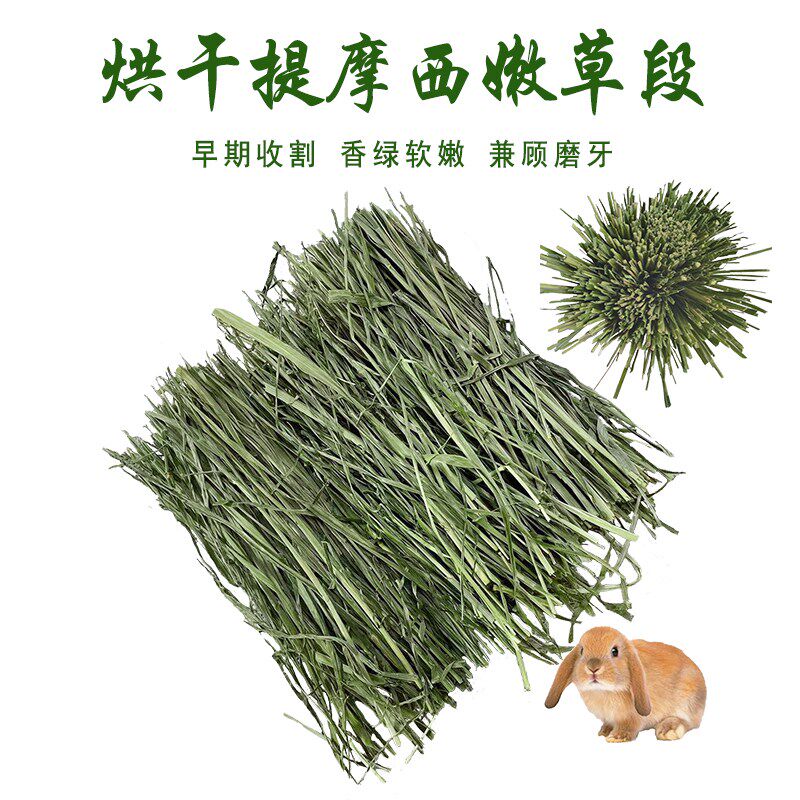 烘干提摩西23头茬兔子草岷县归乡提仓鼠提木西龙猫磨牙幼兔干草