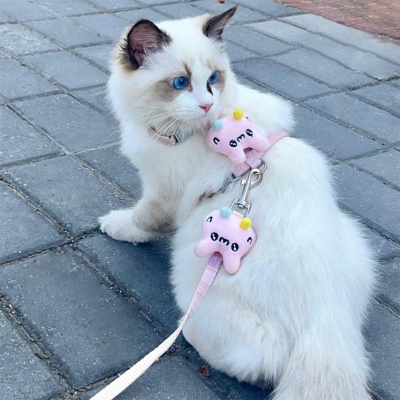 溜猫牵引绳猫咪工字绳防挣脱外出专用可调节布偶小猫网红款背心式,宠物/宠物食品及用品,猫牵引绳,淘宝优惠券,粉丝福利购,淘宝优惠卷