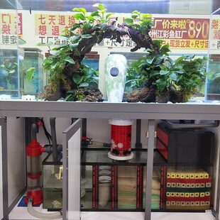 鱼缸过滤桶生物反应器中大号流化床过滤培菌桶内置外置硝化细菌桶