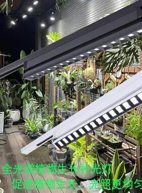 Led全光谱植物生长补光合作室内多肉雨林绿色植物墙模彷太阳轨道