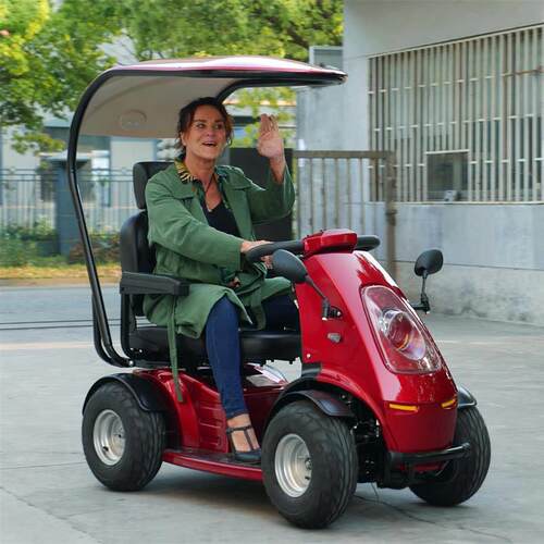 威之群Wisking双人四轮代步车4032型 银色半棚电动代步车