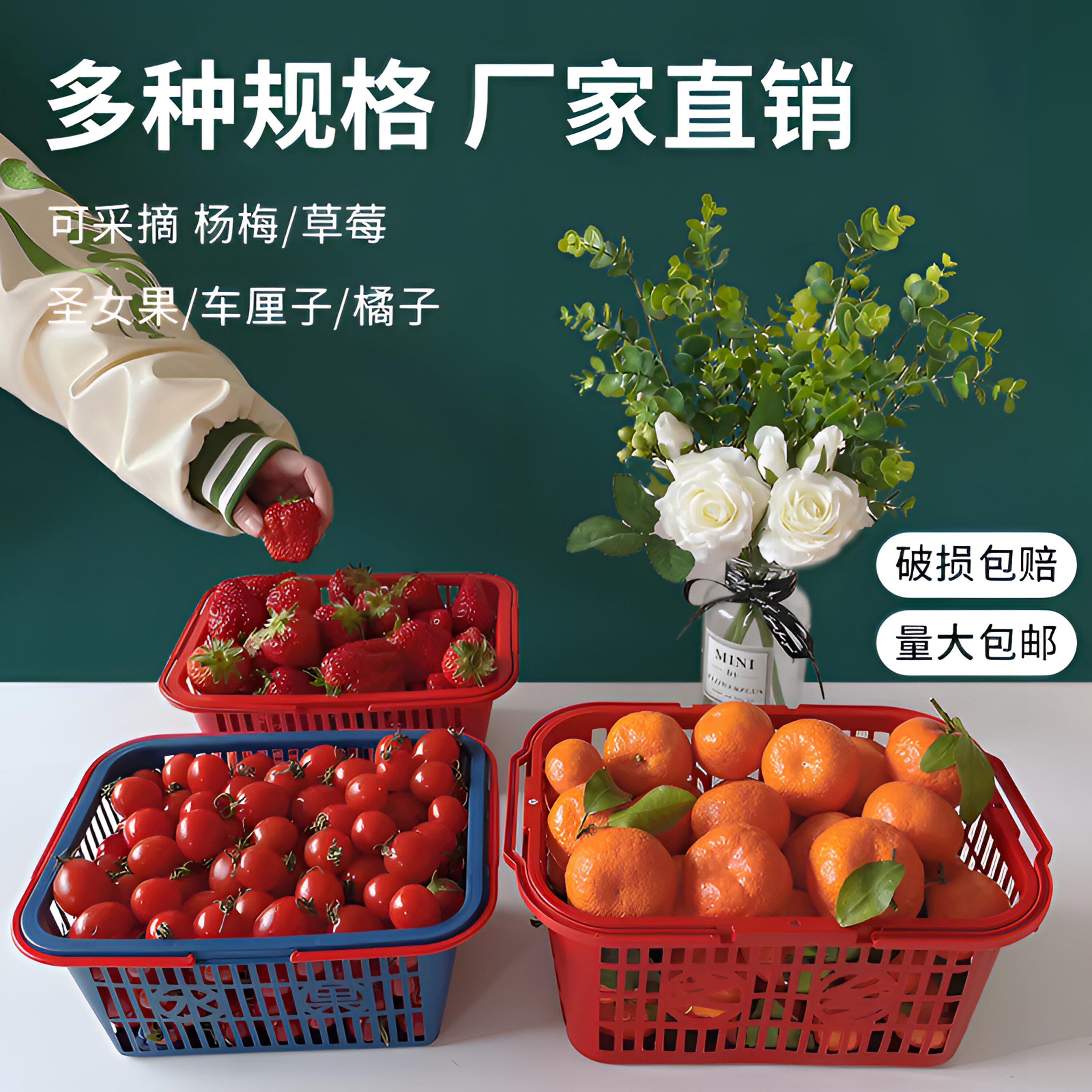 水果采摘篮塑料手提草莓李子葡萄框长方形杨梅篮子奇异果子樱桃篮