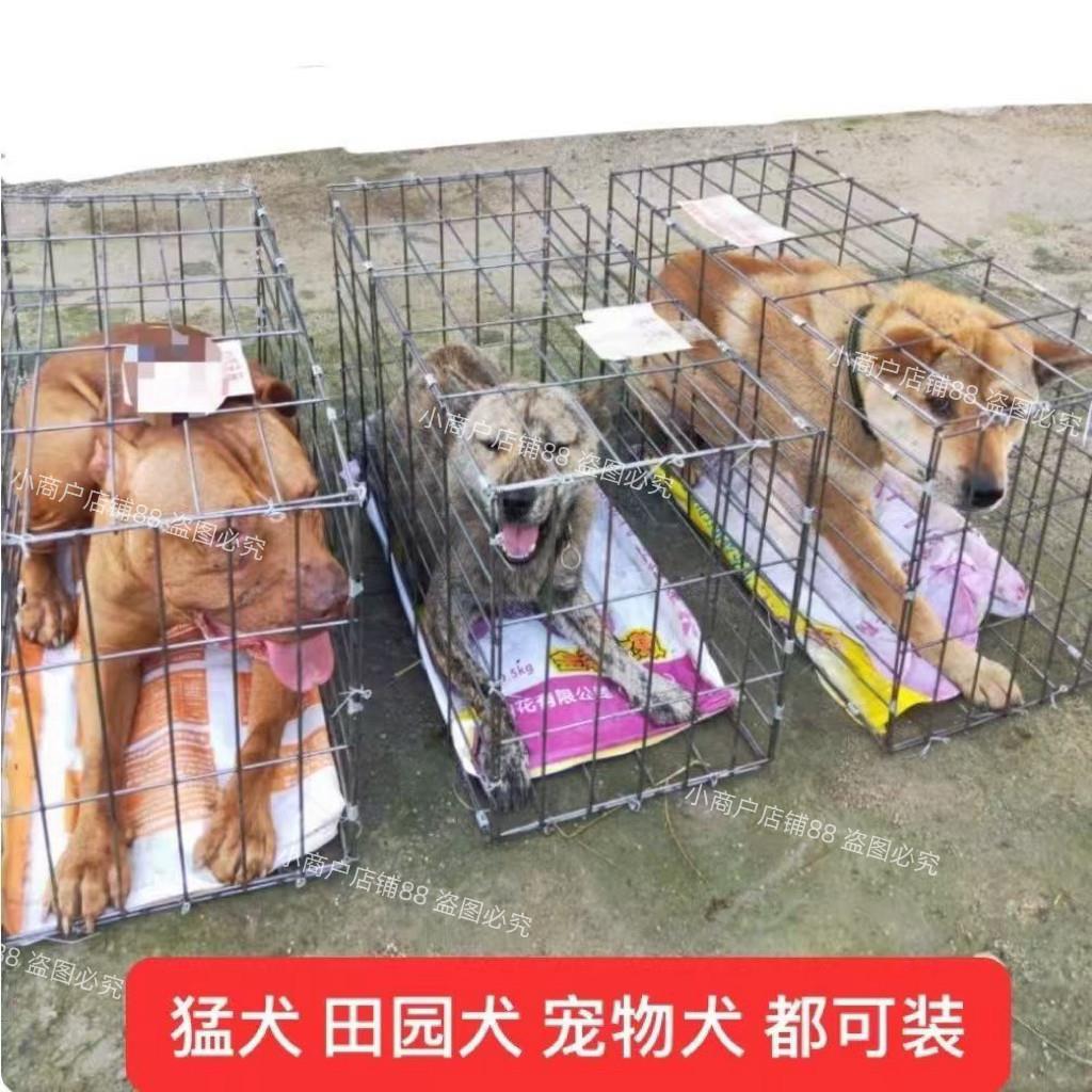 钢筋狗笼子中型犬大型犬狗笼运输笼托运笼 宠物运输笼 可折叠