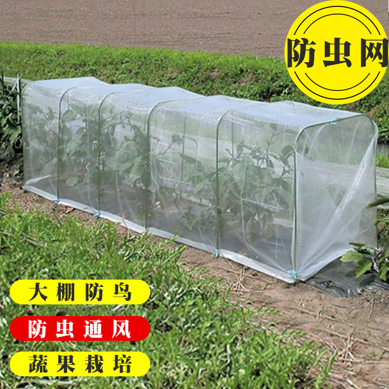 防虫用网大棚种菜搭架果树蔬菜盆菜地家用花盆菜园种植防鸟罩丝网