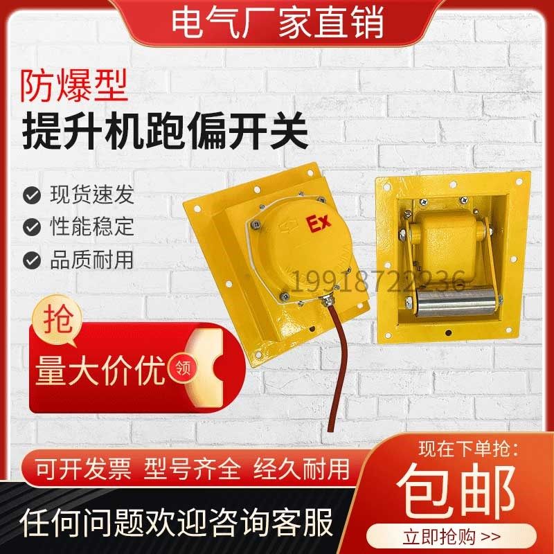 提升机跑偏开关BTDP-I防爆嵌入式防偏保护装置WTDP-1胶带机刮板机