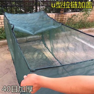 定做养鱼网箱加盖 泥鳅黄鳝青蛙小龙虾防逃网箱 养殖网箱尼龙网箱