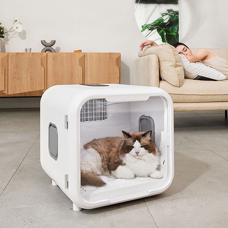 聚宠宠物烘干箱猫咪自动吹水机狗狗吹风烘干机家用洗澡静音烘干箱,宠物/宠物食品及用品,宠物智能烘干箱,淘宝优惠券,粉丝福利购,淘宝优惠卷